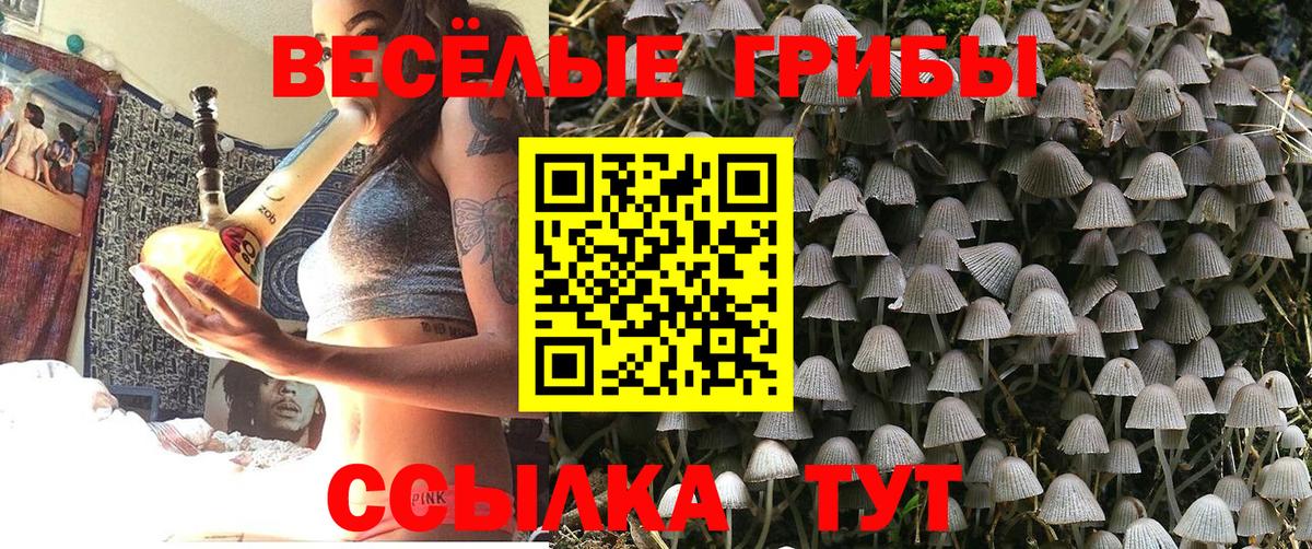 Галлюциногенные грибы мицелий Рославль